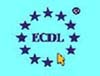Europejski Certyfikat Umiej�tno�ci Komputerowych